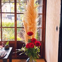 アオキ,バラ,パンパスグラス,斑入りアオキ,バラ(赤)の画像