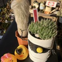 火祭り,白楽翁,りんご火祭り,繋がりに感謝✨,しぞーか勢の画像