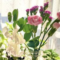 カーネーション,スイートピー,スターチス,ユーカリ,切り花の画像