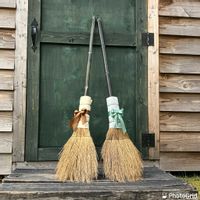 コキア,黒竹,家庭菜園奮闘日記,コキアのほうき,チーム岐阜の画像