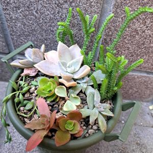 階段/廊下の画像