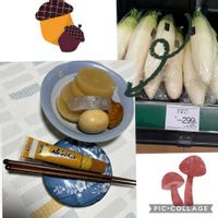 ボケ,大根,大根,イチョウ,イチョウの画像