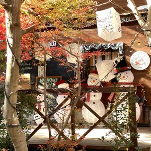 紅葉,緑のある暮らし,ナチュラルスタイル,繋がりに感謝✨,お出かけ先の画像