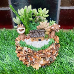 多肉植物,多肉植物寄せ植え,多肉大好き,多肉箱庭,シーサーの画像