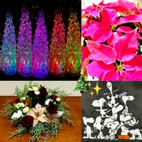 プリンセチア,手作りのクリスマスリース,被災地にエールを…。,クリスマスツリーイルミネーション,毎月2日はスヌーピーの日の画像