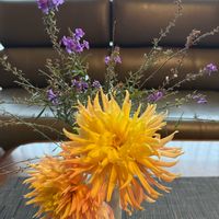 ダリア,宿根リナリアの画像