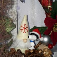 スモークツリー,花言葉,クリスマス月間,しあわせ運べるように,いつも心に太陽をの画像