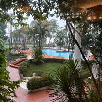 オリズルラン,パッションフルーツ,バナナ,ヒヤシンス,タビビトノキの画像