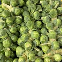 芽キャベツの画像