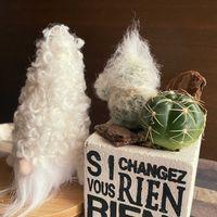 サボテン,幻楽,ギムノカリキウム 海王丸,海王丸,エスポストア 幻楽の画像