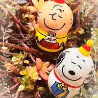 ポーチュラカ,斑入りポリゴナム,ポリゴナム（ヒメツルソバ）,斑入りポーチュラカ,斑入りポーチュラカ 華ミステリアの画像