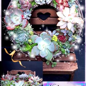 ジニア,桃娘,バイネシー,マカロン,メキシカンサンセットの画像