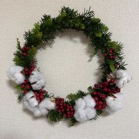 ワタ,サルトリイバラ,お気に入り,気になる,今日のお花の画像