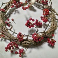 キク,キク,ナナカマド,サンキライ,アカシデの画像