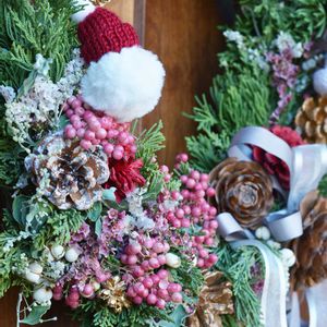 リンゴ,ナツヅタ,ハイビャクシン,ユーフォルビア フロステッドフレーム,エケベリア ピンクジェニーの画像