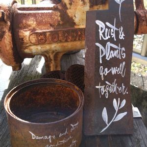 鉢植え,ジャンク,エケベリア属,多肉大好き,サビサビの画像