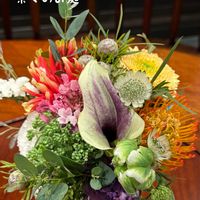 カラー,ピンクッション,キュンキュン乙女倶楽部,HTC,【こまち多肉部】の画像