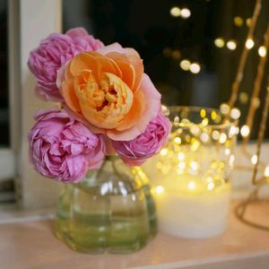 福岡,備忘録,つぶやき,癒し…,記録の画像