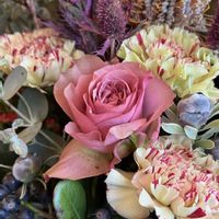 バラ,ブライダルベール,銀杏,イチョウ,イチョウの画像