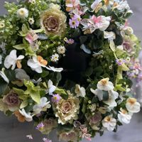 ハツユキカズラ,マトリカリア,葉牡丹,プレミアムビオラ ’ カリフォルニアコレクション ',ヘデラ 白雪姫の画像