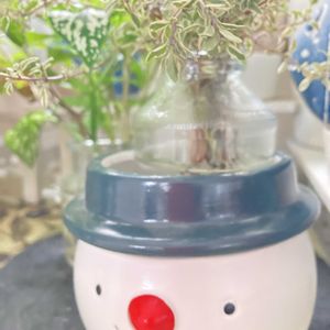 100均,水差し♪,室内管理の画像