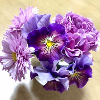 キク,パンジー,パンジー シエルブリエ,ブーケ,ガラスの花瓶の画像