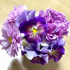 キク,パンジー,パンジー シエルブリエ,ブーケ,ガラスの花瓶の画像