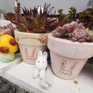 氷山,レッドエッグ,フルールブラン,カシオペアSP,GSの繋がりに感謝♡の画像