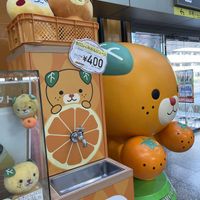 ミカン,カラタチ,旅先,今日のお花,２０２０年５月同期の画像