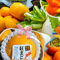 ミカン,ミカン,カキ,スカシユリ,キャベツの画像