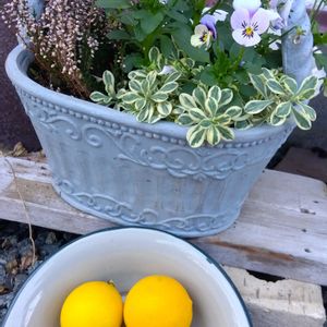 ガーデニング,癒し,花のある暮らし,緑のある暮らし,ハーブのある暮らしの画像