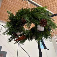 シャリンバイ,ワタ,コニファー,リース,フライングリースの画像