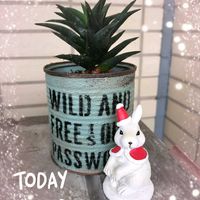 月兎耳,ナチュラルドライリース,ハオルチア・五重塔,手作りリース,繋がりに感謝✨の画像