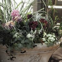 パンジー,寄せ植え,アンティークカラー,松原園芸,アンティークラッフルの画像