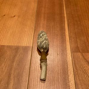 タイサンボクの画像