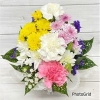 カーネーション,ムクゲ,16:44,19:57,お月様の画像