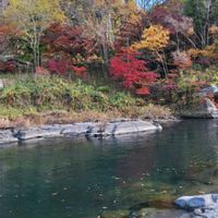 ジャスミン,ジャスミン・ホワイトプリンセス,いつもありがとう♡,紅葉（こうよう）,夜中にこっそりの画像