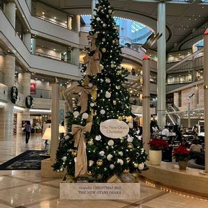 大阪城公園紅葉,大阪城公園紅葉,ホテルニューオオタニクリスマスツリー,クリスマスツリー,ホテルニューオオタニ大阪の画像