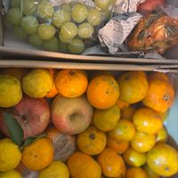 ミカン,リンゴ,カキ,ユズ,シャイン マスカットの画像