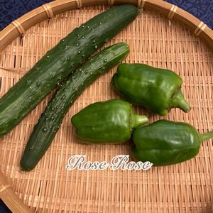 キュウリ,ピーマン,きゅうり,可愛い,ピーマン♪の画像