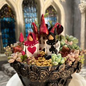 多肉植物,多肉寄せ植え,多肉大好き,多肉箱庭,今日の一枚の画像