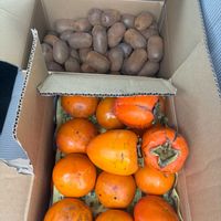 キウイ,キウイ,カキ,鬼柚子,鬼柚子の画像