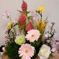 ガーベラ,ガーベラ,ガーベラ,スイートピー,スターチスの画像