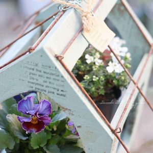 イベリス,ビオラ　ラブラドリカ,横浜セレクション フレアーブルー,アメージング グレイ,花のある暮らしの画像