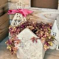 ハツユキカズラ,ブルーベリー,カリシア,多肉植物,庭木の画像