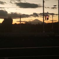 ドウダンツツジ,ナデシコ,フジバカマ,ポリゴナム（ヒメツルソバ）, 富士山の画像