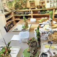 箱庭,天然木,姫胡桃,ワークショップ作品,ワークショップ作品の画像
