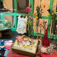 サンダーソニア,フェンネル,スカビオサ（松虫草）,キュンキュン乙女倶楽部,HTCの画像