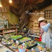 ワークショップ ,くるみガーデン,くるみガーデンWS,くるみガーデンの世界,くるみガーデンミュージアムの画像