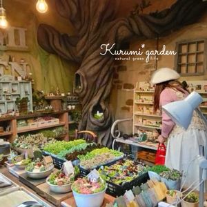 ワークショップ ,くるみガーデン,くるみガーデンWS,くるみガーデンの世界,くるみガーデンミュージアムの画像